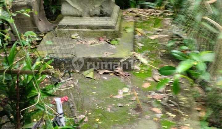 Land for Sale, Land Area 300 M2, Suitable for Investment in Munggu, Badung.