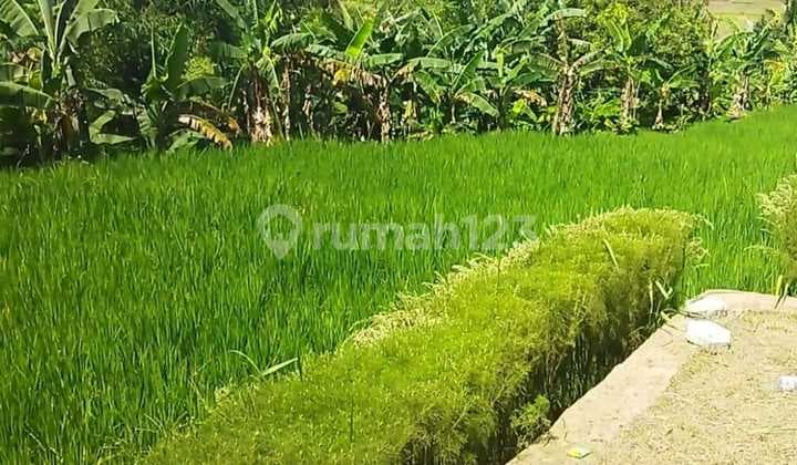 Di Jual Cepat Lahan View Bagusdi Jonggol Bogor
