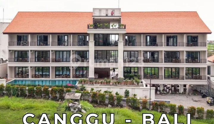 Hot Sale!!Good Deals!!Hotel Canggu - Bali