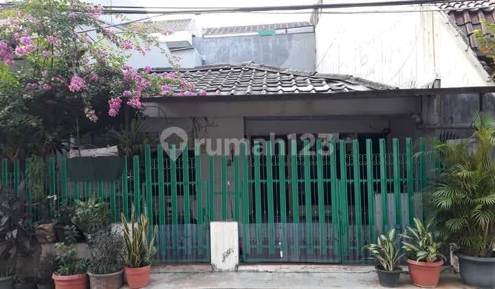 Dijual Rumah Tua di Pluit Hitung Tanah