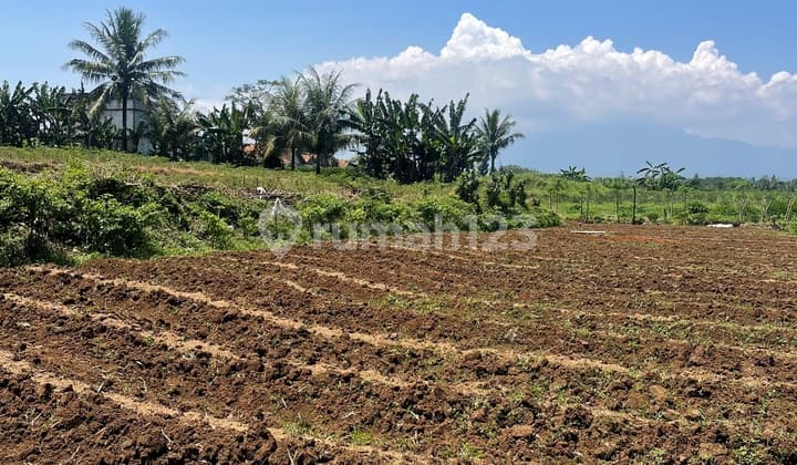 For Quick Sale Mrs. Tanah 726M in Bogor Regency