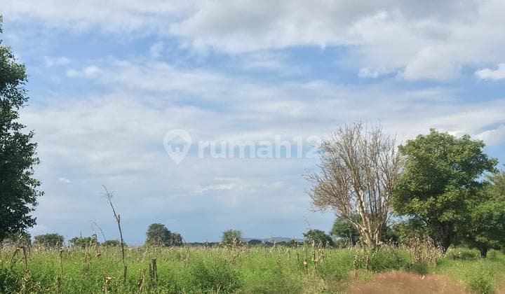 Dijual Tanah Premium Pinggir Pantai di Sumbawa
