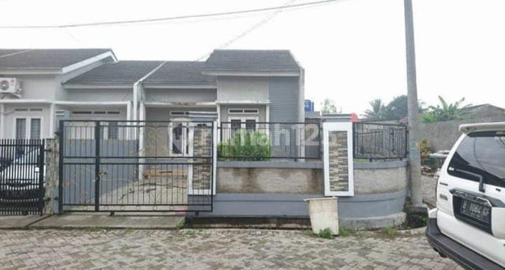 Dekattolcikupa