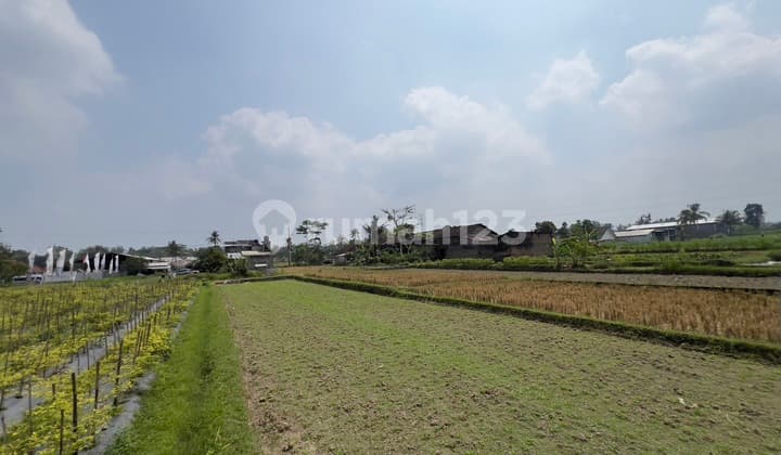 Tanah Investasi di Pinggir Jalan Strategis Area Pasar Slemani