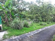 Profitable Property Investment in Srimulyo · Premium Location Near Heha Sky View & Prambanan.