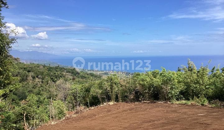 For Sale Super Premium And Fantastic View180deg In Lovina