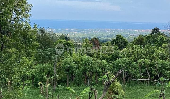 For Sale Ocean View Land Just 450 Jutaglobal In.lovina