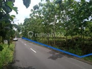 For Sale Land 2840 Square Meters Strategic Location Simpang Empat Duwet (Baron Road KM 4), Wonosari, Gunungkidul