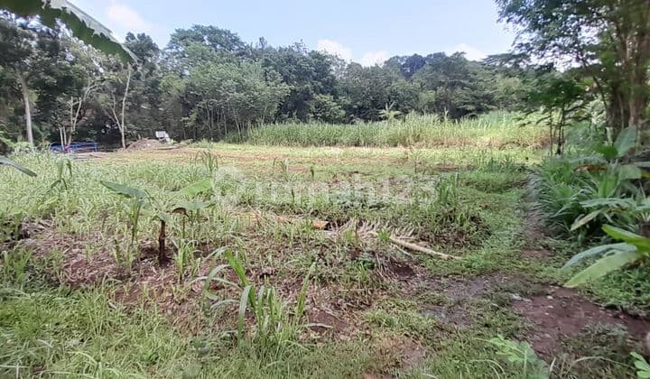 Spacious and Strategic Land in Imogiri, 1 Minute from the Regency Road