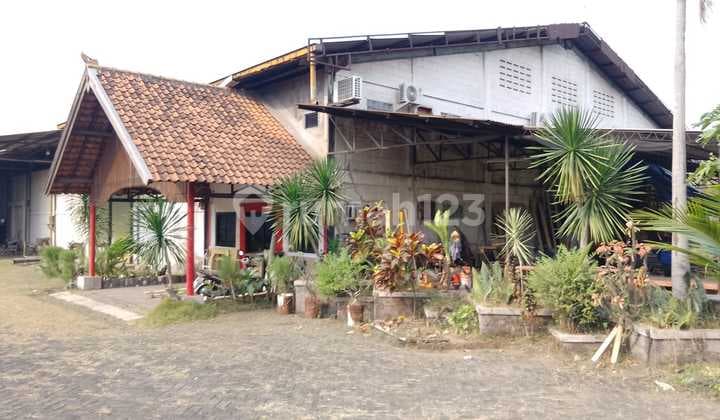 Jual Cepat Dekat Tol Ex Pabrik Kayu Best Price Best Deal