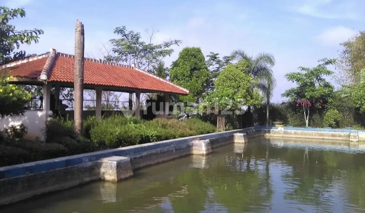 Murah! Jauh Dibawah Njop Pbb Tanah Bonus 2 Villa Di Ujung Berung View Mesjid Al Jabar Rumah Butuh Renovasi SHM - Sertifikat Hak Milik