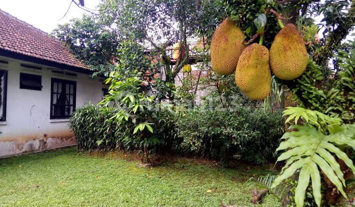 Dijual Rumah Saturnus Margahayu Raya Metro