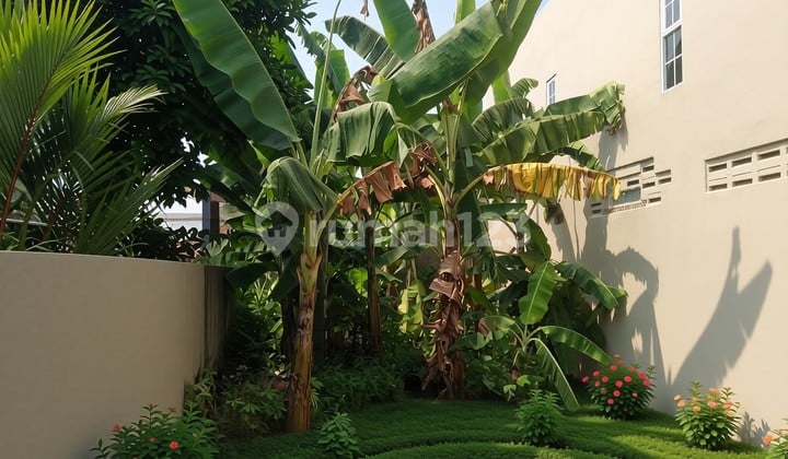 For sale: land