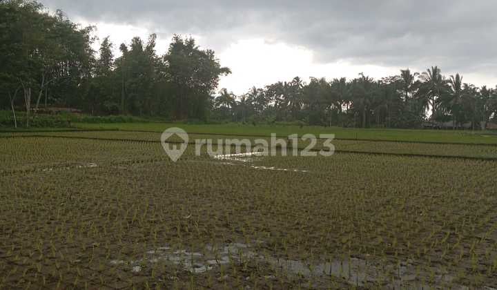 Dijual Melalui Lelang Tanah Dan Bangunan Di Sukaratu Tasikmalaya