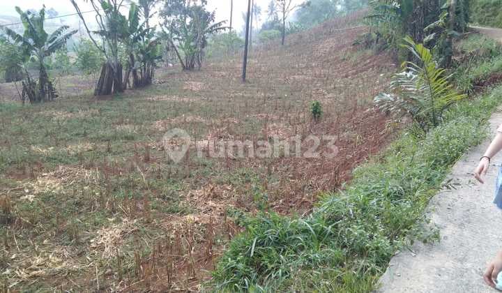 Tanah Murah 38 Hektar Zona Kuning di Padalarang Bandung Barat