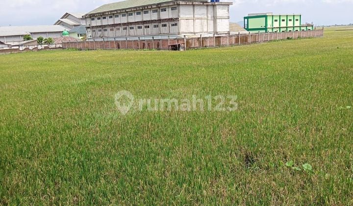 Tanah Mainroad Majalaya - Rancaekek Dijual Murah Dibawah Pasaran