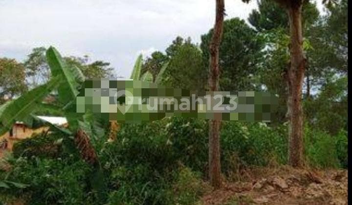Tanah Hoek View Kota Bandung di Dago Bukit Pakar Timur SHM
