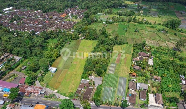 Tanah luas di luwus di pinggir jalan