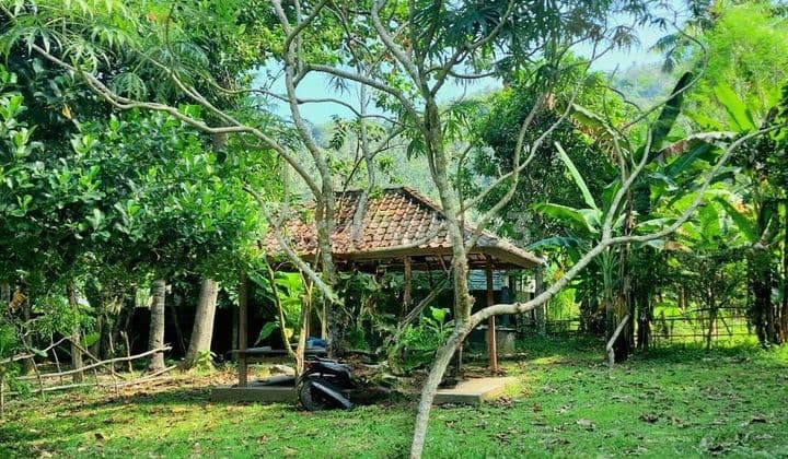 tanah ngantong di senggigi bagus buat investasi