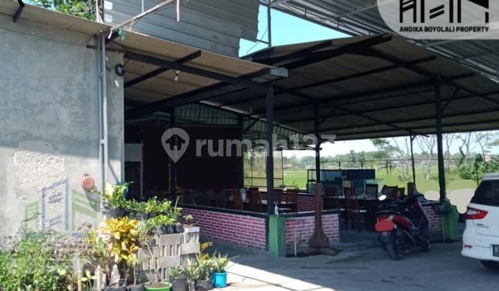 Rumah pemandangan sawah dan air jernih di Pengging banyudono boyolali