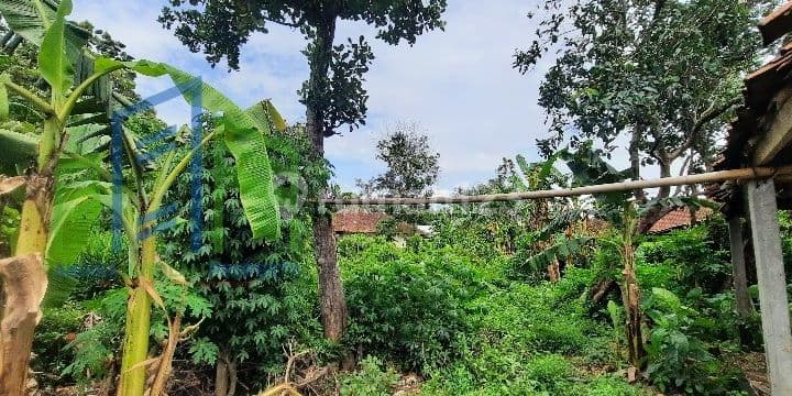 Dijual tanah pekarangan murah di Teras Boyolali