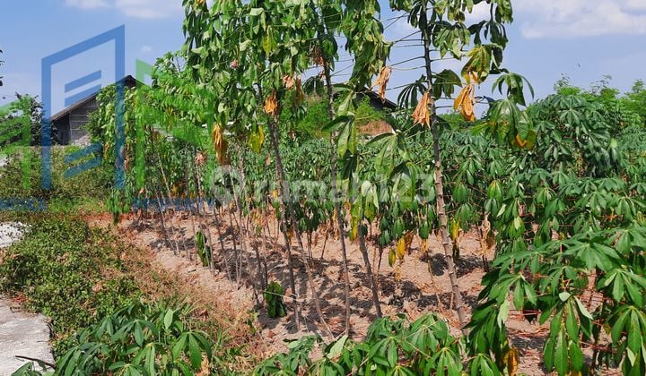 Tanah zona industri di teras Boyolali