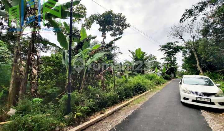 Tanah Pekarangan Suasana Pedesaan Di Dlingo Mojosongo Boyolali