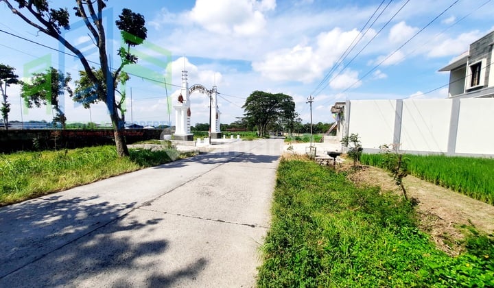 Dijual Sawah Strategis Pinggir Jalan Utama Mudal Boyolali