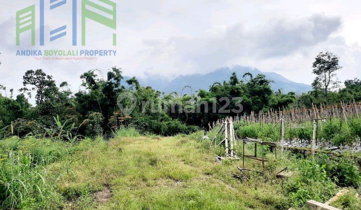 Dijual Tanah Strategis View Gunung Di Selo Boyolali