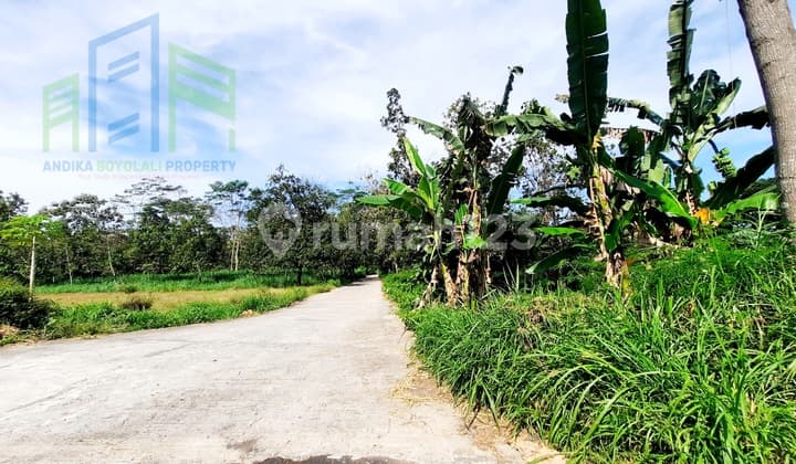 Tanah Murah Pinggir Jalan Desa Dijual Di Boyolali
