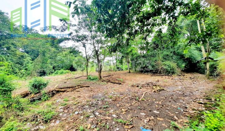 Dijual Tanah Murah Dekat Aliran Sungai Di Pengging Banyudono Boyolali