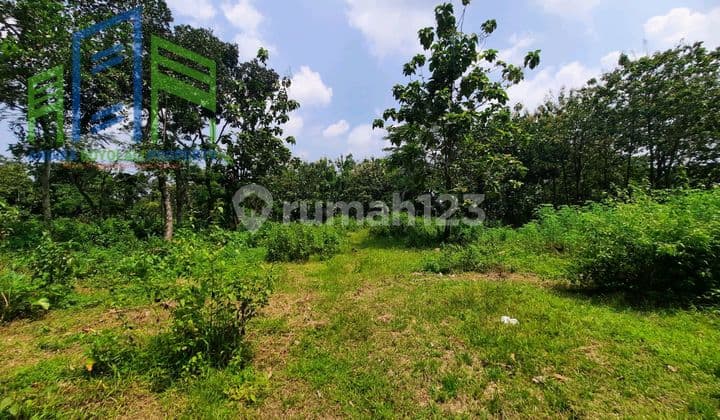 Tanah Murah di Mojosongo Boyolali