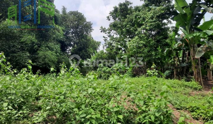 Tanah Pekarangan Di Pengging Banyudono Boyolali