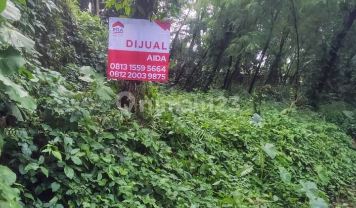 Dijual Tanah di Dramaga Bogor Jawa Barat, Bogor 1.000 m²