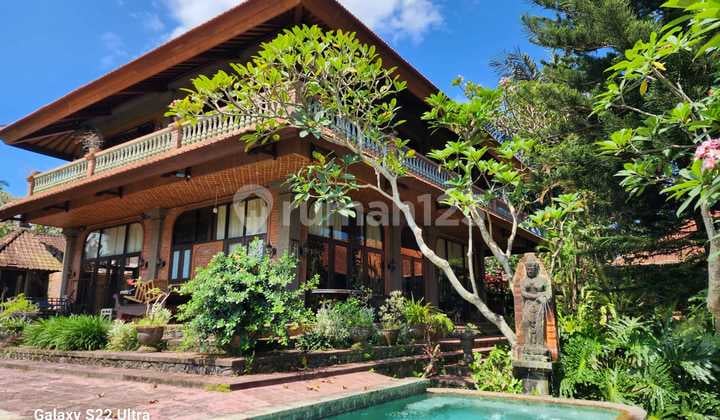 Villa view sawah di Pejeng dekat ke Ubud Gianyar Bali
