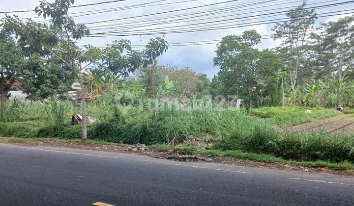 Tanah 3280 M2 di Mengwi Jl Denpasar Singaraja Badung Bali