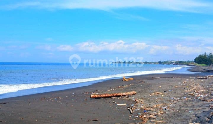 Tanah Los Beach 2.53 Hectares Jl Ida Bagus Mantra Tulikup Gianyar Bali
