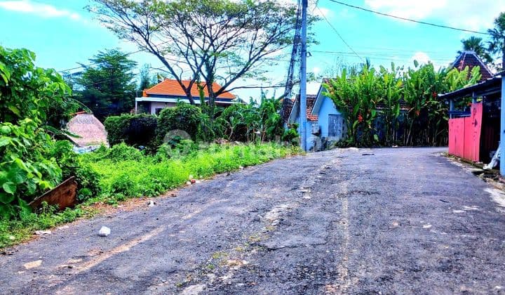 Tanah 770 M2 Jl Subak Canggu Dkt Pantai Nelayan Bali