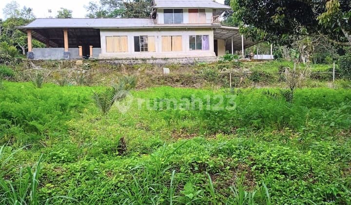 Dijual Tanah di Baturiti Tabanan Bali Dkt Bedugul