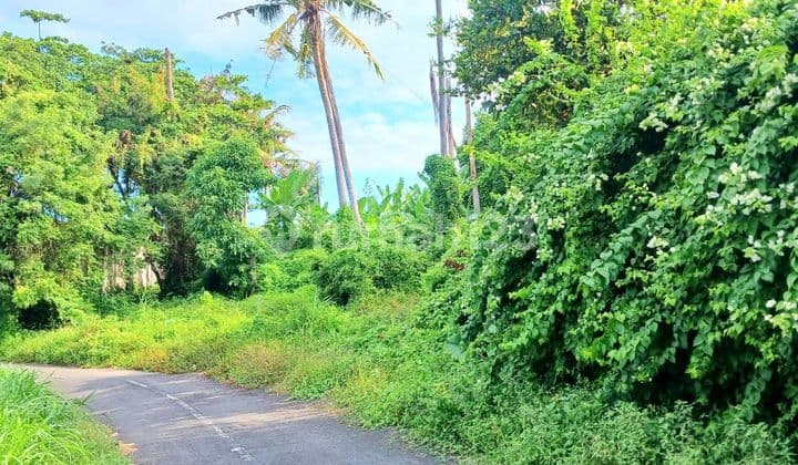 Tanah 3250 M2 Dekat Pantai Keramas Gianyar Bali