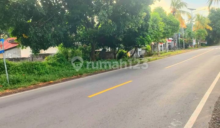 Tanah 1 Hektar Jl Seririt Singaraja Gerokgak Buleleng Bali