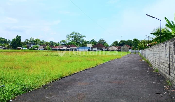 Tanah kavling 350 m2 di Kelating Tabanan Bali