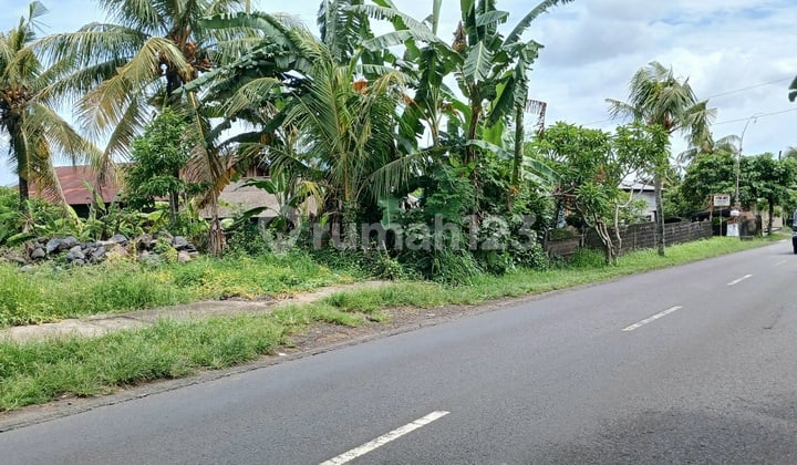 Dikontrakkan Tanah 4 Are Sudah Ada IMB Marga Tabanan Bali