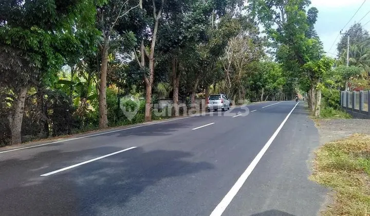 Dijual Tanah Jl Utama Denpasar-Gilimanuk Negara Jembrana Bali