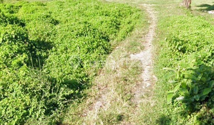 Tanah Jl Pantai Siyut Gianyar Dkt Jl By Pass Ida Bagus Mantra