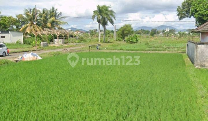 Tanah 3,6 Hektar Dkt Rsup Mataram Lombok Nusa Tenggara Barat