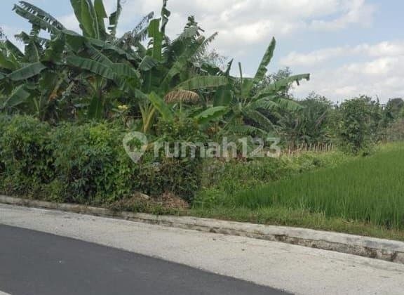 Tanah 4375 M2 Dkt Tanah Lot,De Moksha Eco Friendly Tabanan Bali