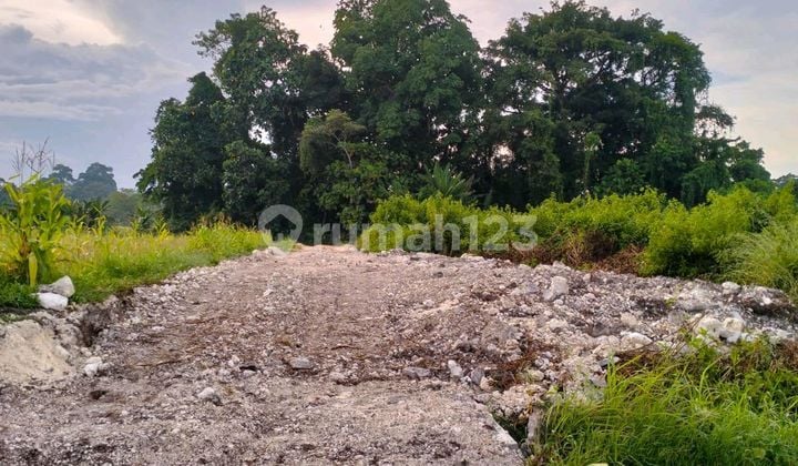 Dijual Tanah 2825 M2 Area Nyambu Kaba-Kaba Kediri Tabanan Bali