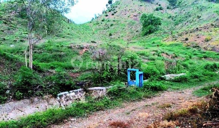 For Sale: 10.4 Hectare Land in Serading Moyohilir, Sumbawa