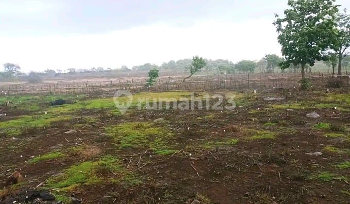 For Sale: 1 Hectare of Land in Kerekeh Unter Iwes, Sumbawa